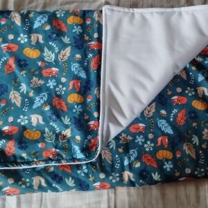 Tapis de change adulte