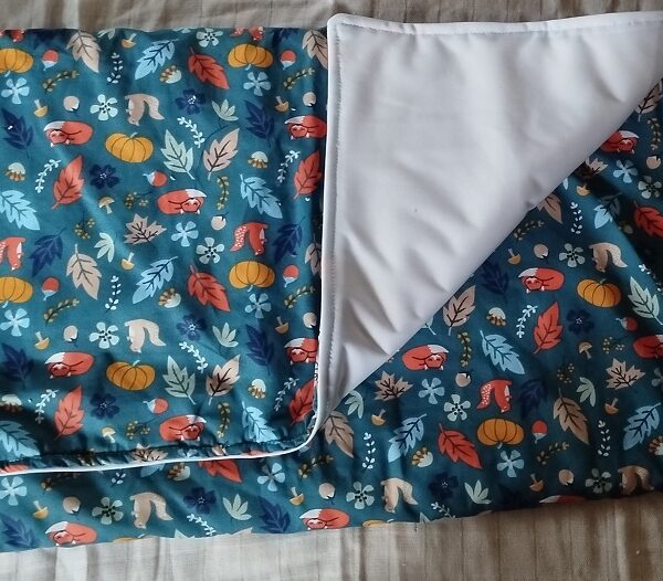 Tapis de change adulte
