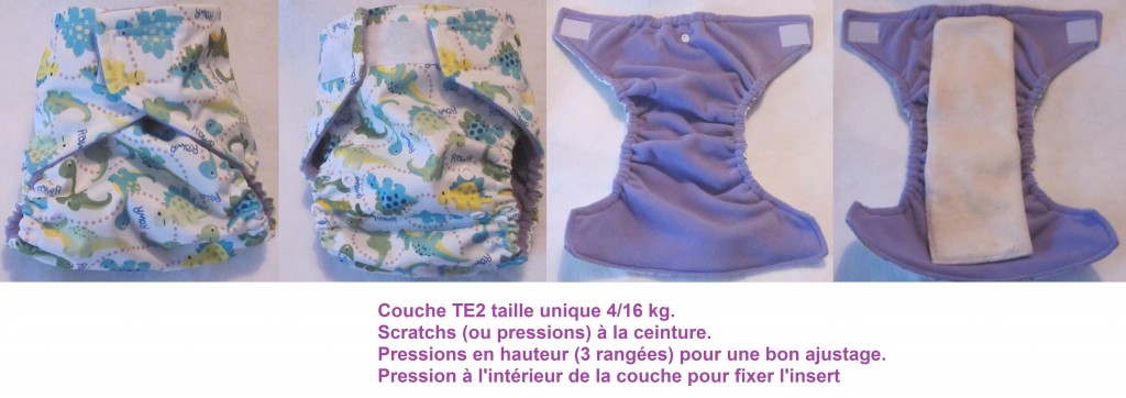 Notice de la couche TE2